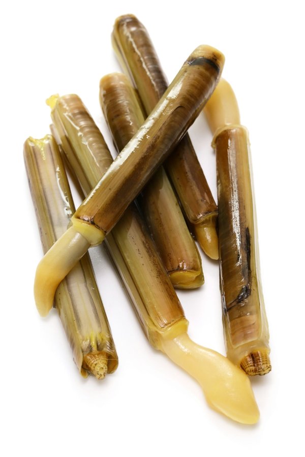 Artisanat français : choisissez votre couteau de chef idéal